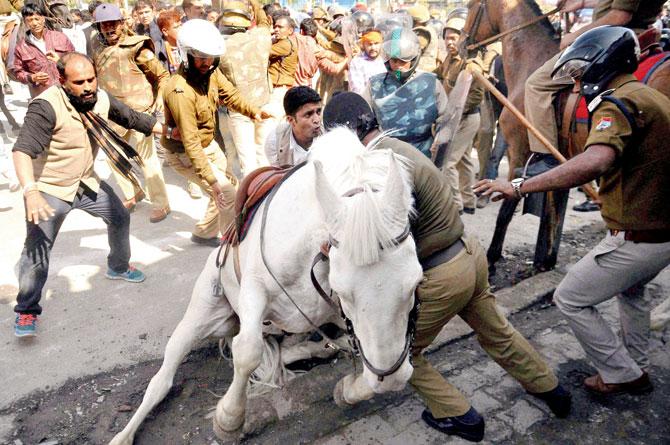 Horse attack: BJP MLA Ganesh Joshi arrested over assault on 'Shaktiman'
