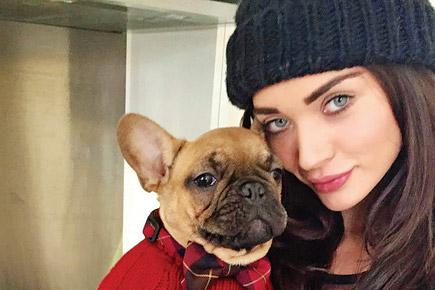 Amy Jackson busy with paperwork to get her dog to fly down from UK