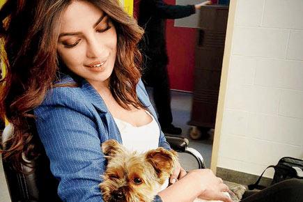 Priyanka Chopra's furry companion on the sets of 'Quantico'