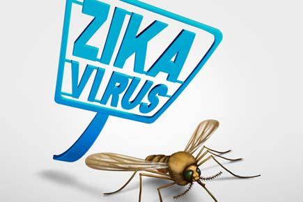 91,387 Zika virus cases confirmed in Brazil