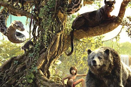 'The Jungle Book' actor Neel to begin international tour in India