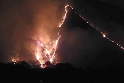 Thane: Another fire breaks out in Yeoor forest; locals claim sabotage