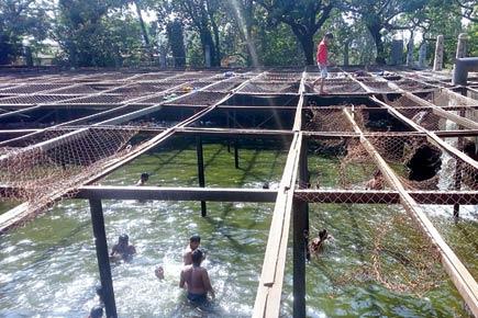 Death trap? Kids swim in uncovered Aarey tank where man drowned 