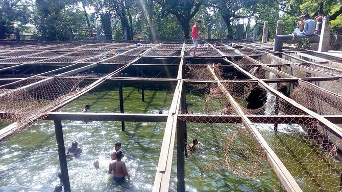 Children play at the Aarey Milk Colony tank, which is meant solely for the cowsheds nearby