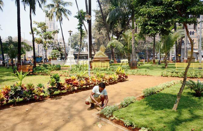 The work for beautification of the Bhatia garden is still underway