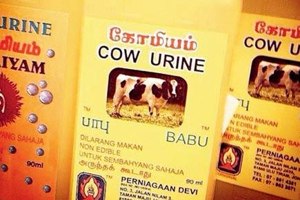 Cow urine being sold with food in London convenience stores