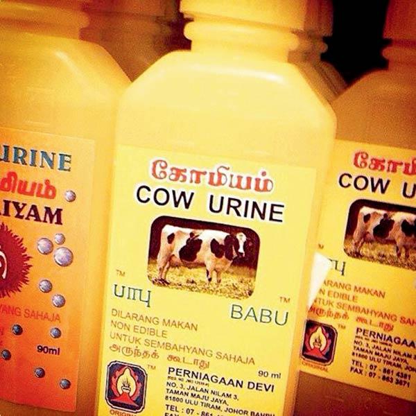 Bottles of cow urine, marked “for religious purposes”, were found in several London stores. Pic/Twitter/DrGaai