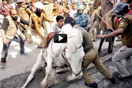 Shocking video: BJP MLA attacks police horse, breaks its leg