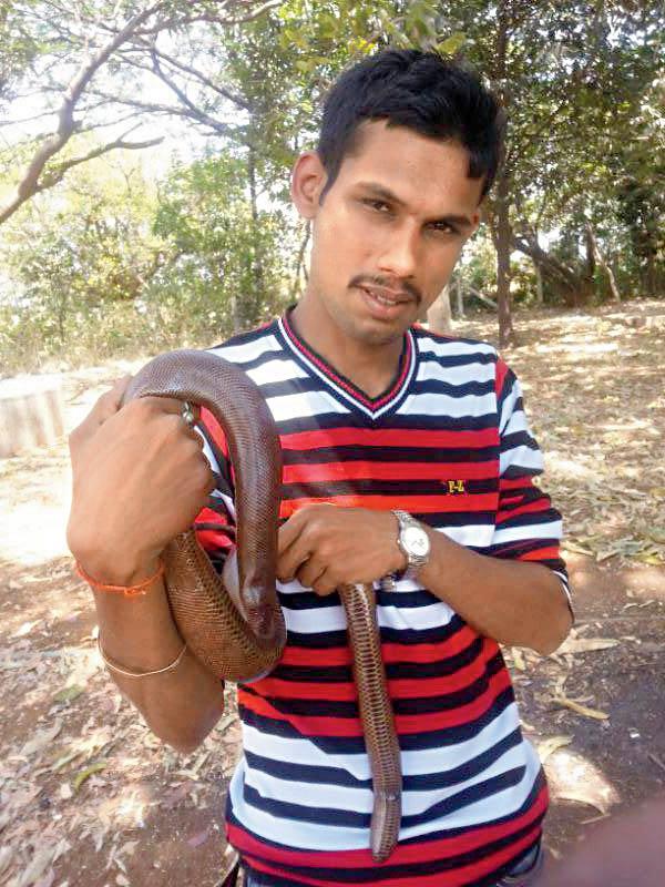 Snake rescuer Kaushalendra Dubey displays the red sand boa he rescued from Aarey Colony