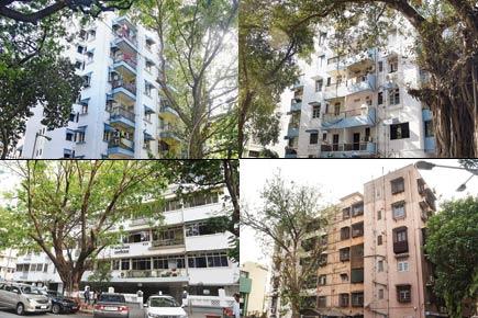 How high-profile squatters bleed Maharashtra coffers dry