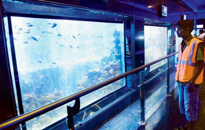 Civic officials said fish tanks at the new aquarium in the zoo will be similar to those on display at Taraporewala Aquarium. Pic for representation