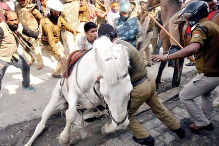 Shocking: BJP MLA assaults police horse, breaks its leg