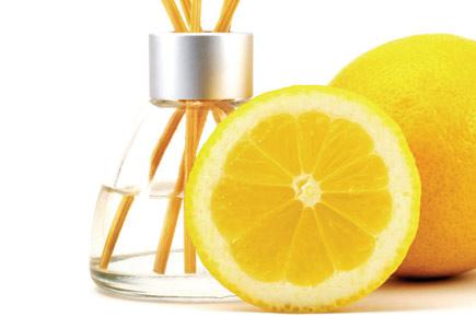 Will you smell of fruits or wood today? A perfume workshop comes to your aid