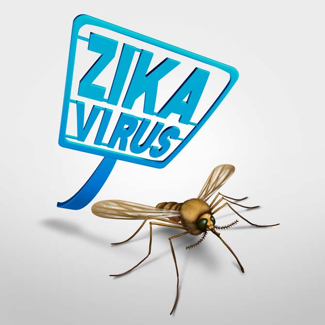 Development of Zika virus vaccine underway in India: WHO