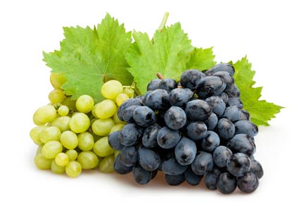 Eat grapes to help lower obesity risk