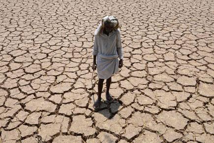 Maharashtra declares drought in 29,000 villages
