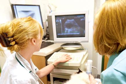 Sonography machines at veterinary centres under government scanner