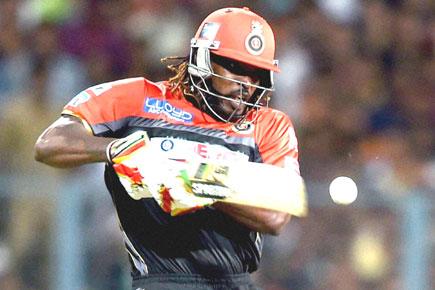 IPL 9: RCB get a booster with Gayle joining the party with Virat and AB