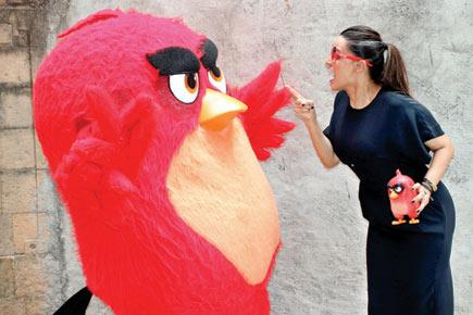 Seeing red! Why is Neha Dhupia angry?