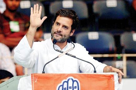Can't blame Rahul Gandhi for poll reverses: Congress