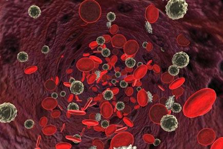 How immune cells activate inflammation?