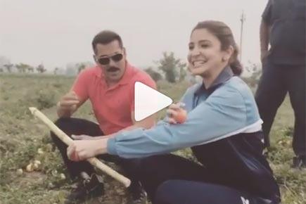 Watch! Here's what 'Sultan' Salman and Anushka are up to in Punjab