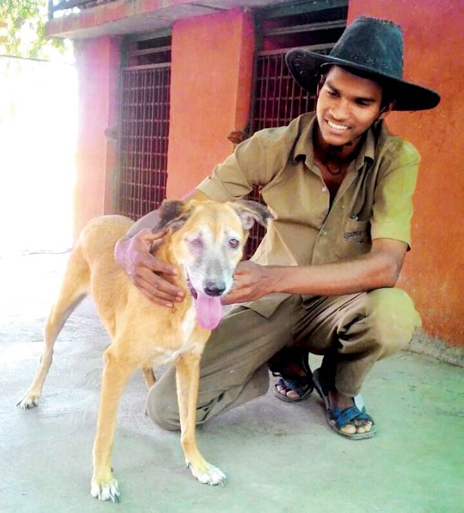 This dog, who used to live in the police quarters in Andheri (E), was allegedly beaten by a cop named Mukesh Dev. The hit was so powerful that its eye was gauged out. The case has found mention in the Angel Trust PIL. While Dev is out on bail, the dog is at a Pune shelter