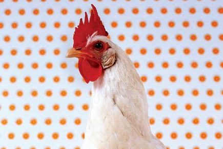 Alternative to leather? Fabric made from chicken legs to address demand
