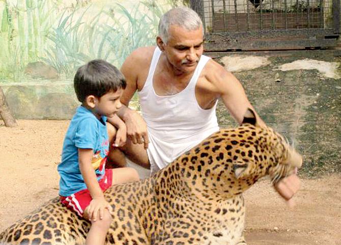 Dr Prakash Amte (Baba Amte’s son) and his grandson playing with a leopard in his animal rescue centre at Hemalkasa in Gadchiroli, Maharashtra