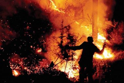 60 fresh incidents of forest fires in Himachal Pradesh