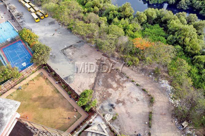 The NCP leader was in the process of completely concretising the ground. It’s also clear that the construction is less than 50 metres from the mangroves. Pic/Pradeep Dhivar