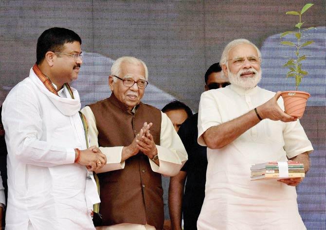 PM Narendra Modi accepts a sapling at the launch of Pradhan Mantri Ujjwala Yojana yesterday. Uttar Pradesh Governor Ram Naik and MoS for Petroleum and Natural Gas (I/C) Dharmendra Pradhan (in white) were also present on the dais. Pic/PTI