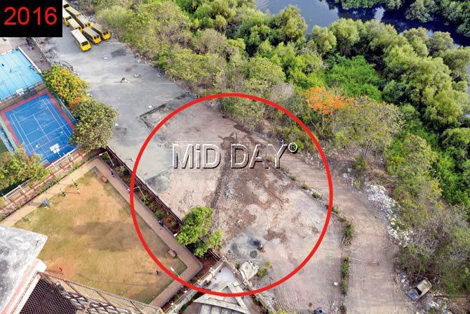 Not only have all the trees been wiped out (in the circled area), but the school is now laying concrete and paver blocks all over the land to build a parking lot for buses there. This will also put the nearby mangroves at risk