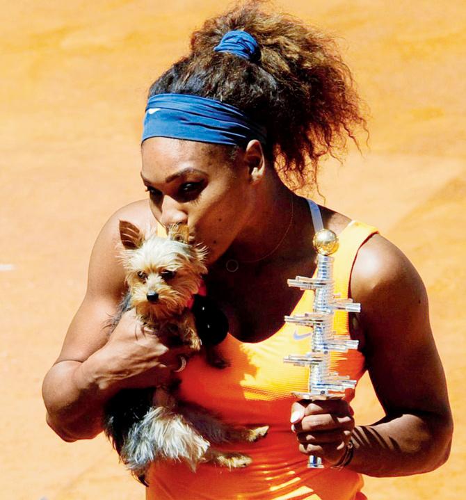 Serena Williams kisses her dog Chip as she holds the Madrid Masters trophy after beating Maria Sharapova in the final at Madrid on May 12, 2013. Pic/AFP 