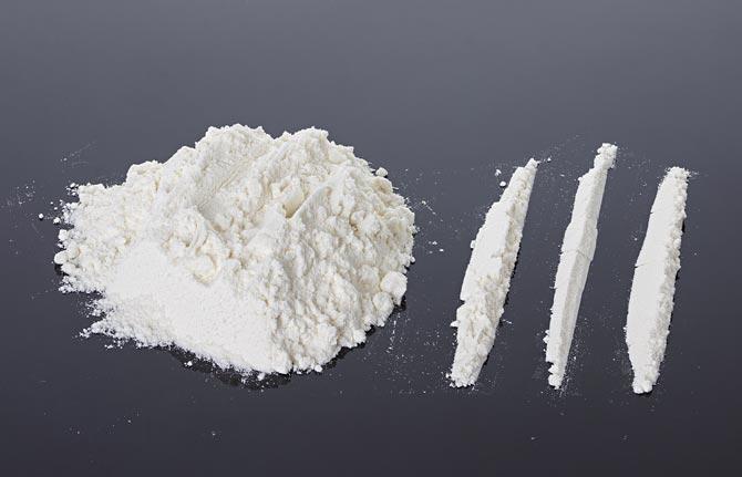 Brain cells that reduce effect of cocaine identified