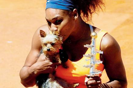 Serena Williams sick after eating dog food