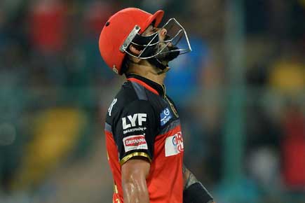 Sunrisers Hyderabad lift IPL 9 trophy as Virat Kohli's fairytale is cut short