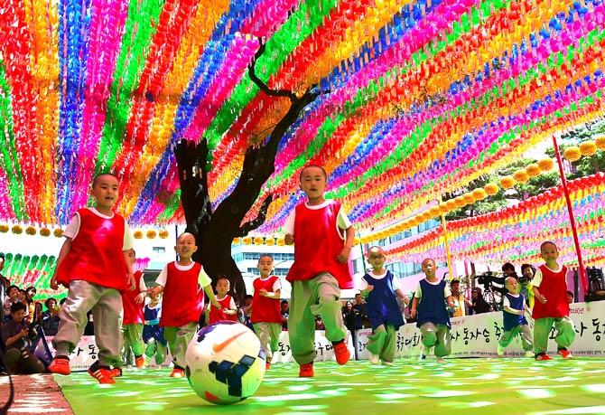 Young South Korean novice monks play football under lotus lanterns (pictured below) during their training program entitled 