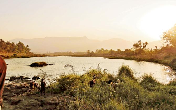 A view of the sunset from the site