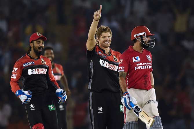Shane Watson celebrates after taking the wicket of Murali Vijay