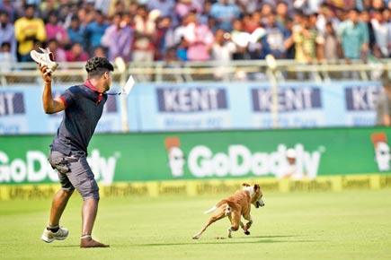 This dog who interrupted Vizag Test now has a Twitter account!