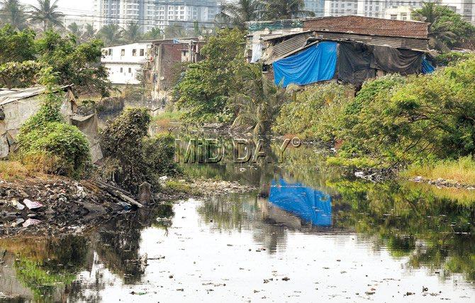 Locals allege that the illegal dumping, which takes place in the wee hours of the morning, the width of the nullah has also decreased over the years. Pic/Nimesh Dave