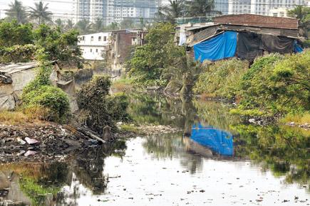 Mumbai: Debris gobbles up an acre of mangroves