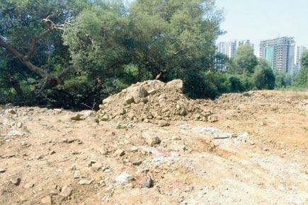Mumbai: Illegal dumping of debris near mangroves irks Malad locals