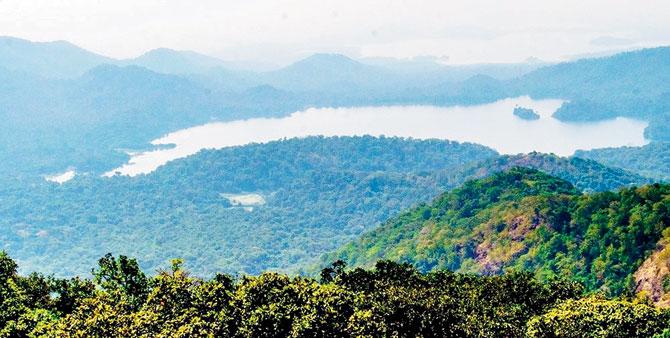 Borivli-Thane ropeway project might get the thumbs down