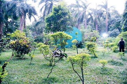 Anand Pendharkar: SoBo has a secret garden