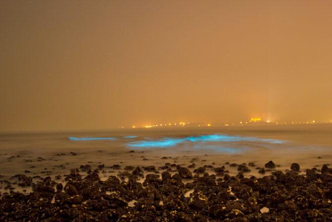 A photograph of the bioluminescent waves clicked by Niklesh Mane in January  