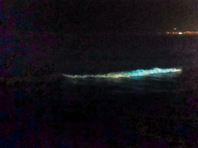 A photograph of the bioluminescent waves clicked by Niklesh Mane in January 