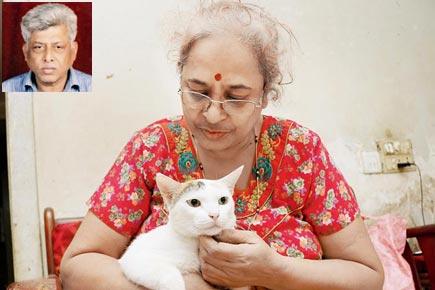 Mumbai: Senior citizen falls off tree trying to save pet cat, dies
