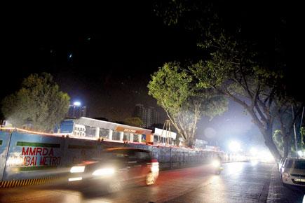 Mumbai: 465 trees to be chopped for Dahisar-DN Nagar Metro corridor